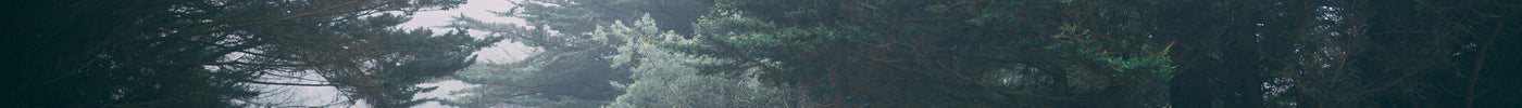 virginie-laune-26f8ZvTWV4E-unsplash